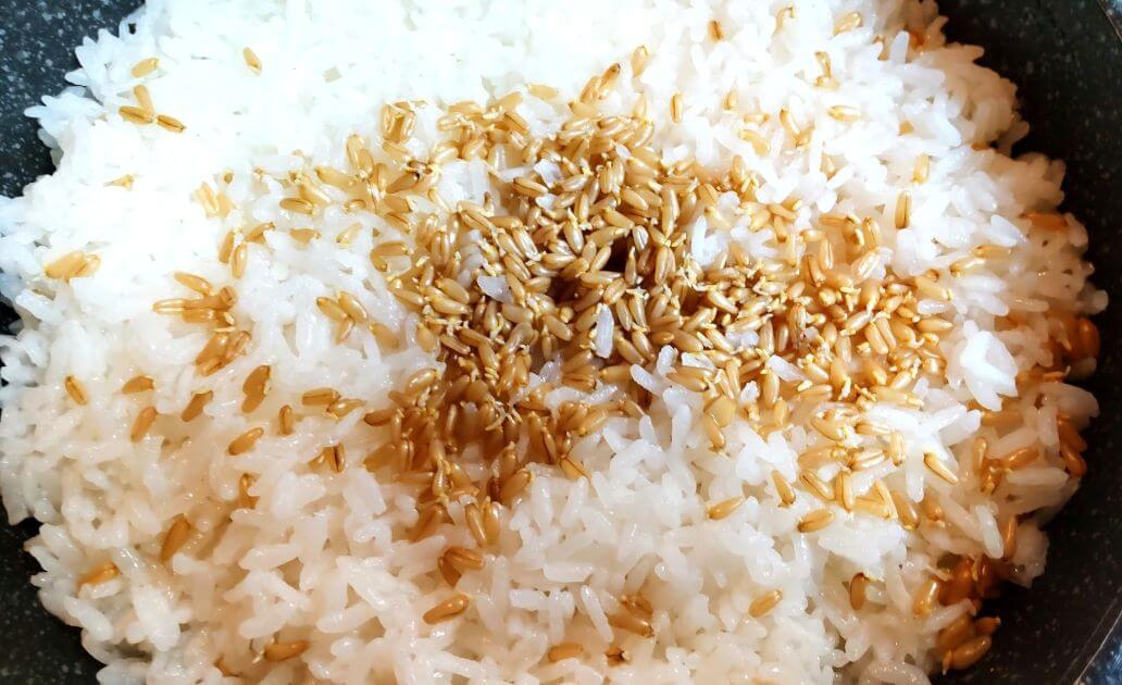 発芽オートグローツ（燕麦）入りご飯