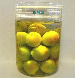 見た目の悪い梅で最強旨味調味料 梅酵母